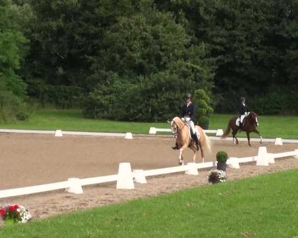 Rheinische Meisterschaften 2013 11.07.2013 44 Pony-Reitpferdeprüfung