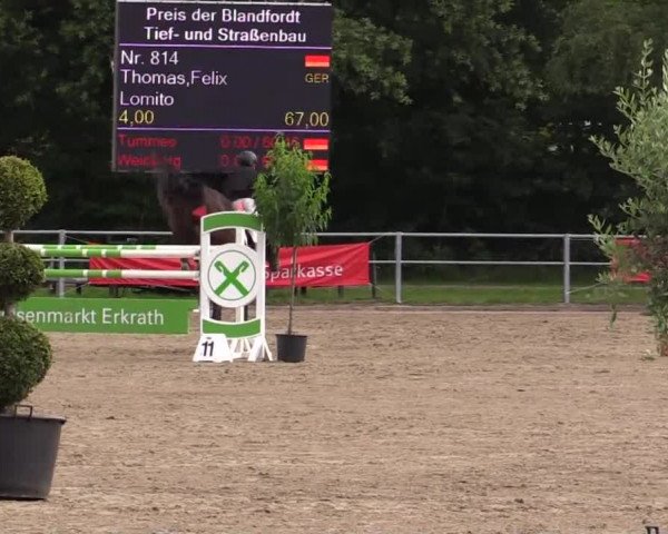 Rheinische Meisterschaften 2013 11.07.2013 47 Springprüfung Kl.M** - Junge Pferde - 7-8j.