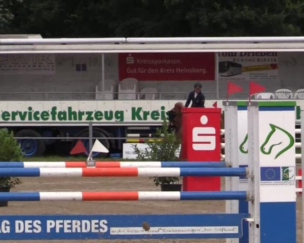 Rheinische Meisterschaften 2013 11.07.2013 48 Springprfg.Kl.S m.St.* - Junge Pferde - 7-8j.