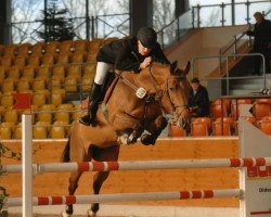 broodmare Loro Piana Cartella (Holsteiner, 2003, from Con Air)