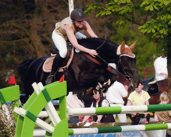 horse La Luna (Oldenburg, 1995, from Landor S)