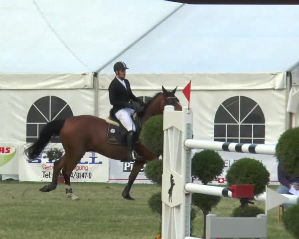 Steinhagener Reitertage 2013 04.07.2013 30 Springprüfung Kl. S*
Gleichzeitig 1. Wertungsprüfung Damen/Herren
