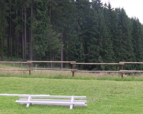 Stuten-und Fohlenschau Stünzel 2013
Freitag, den 05.07.2013
