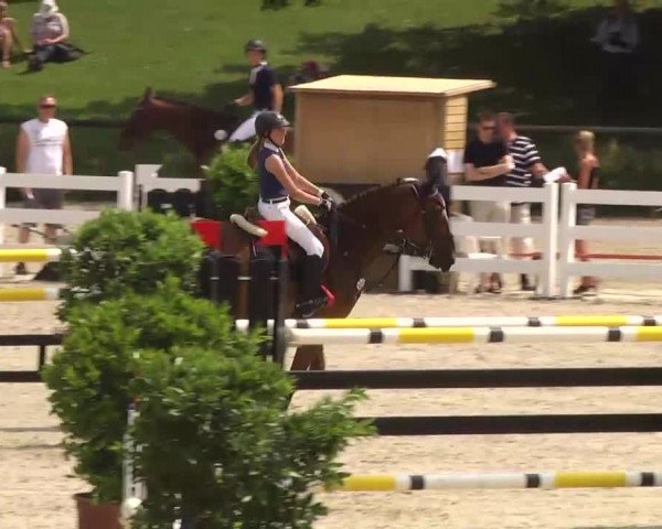 Landeschampionat Baden-Württemberg 07.07.2013
05 Springprüfung Kl. S*