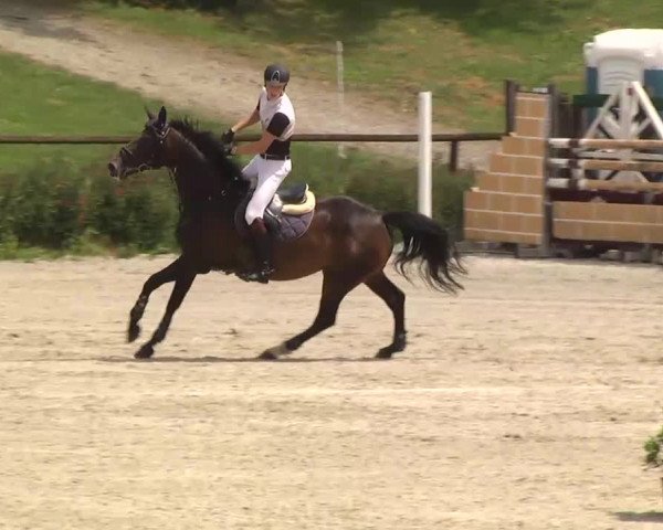 Landeschampionat Baden-Württemberg 07.07.2013
05 Springprüfung Kl. S*