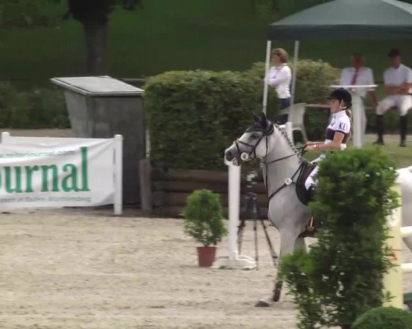 Landeschampionat Baden-Württemberg 07.07.2013
05 Springprüfung Kl. S*