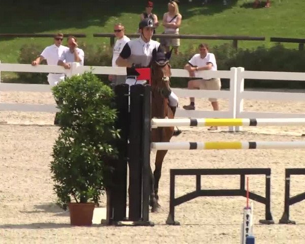 Landeschampionat Baden-Württemberg 07.07.2013
05 Springprüfung Kl. S*