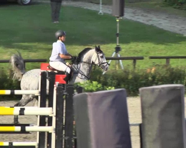 Landeschampionat Baden-Württemberg 05.07.2013
03 Springprüfung Kl. S*