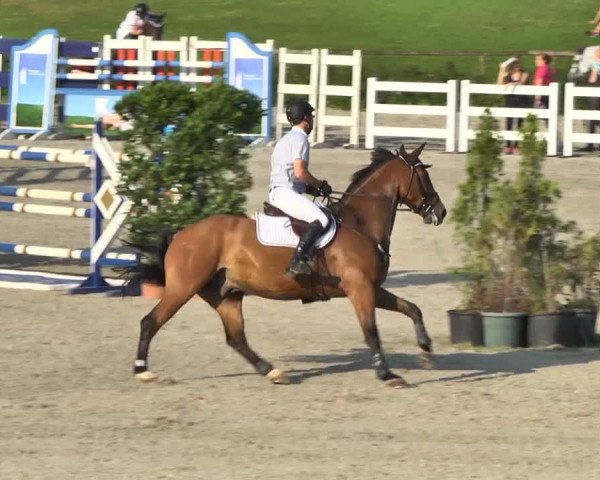 Landeschampionat Baden-Württemberg 05.07.2013
03 Springprüfung Kl. S*