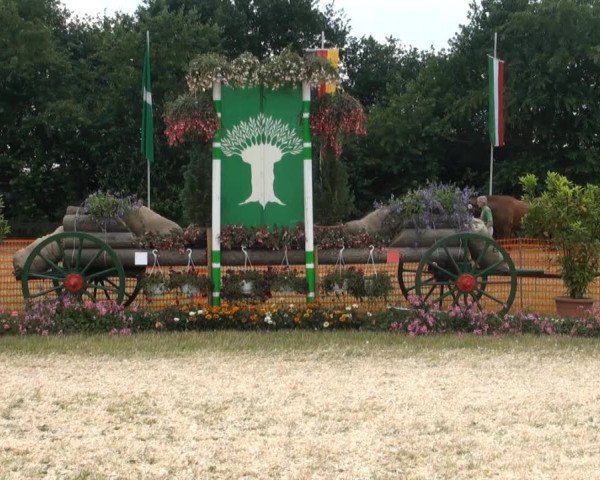 Fohlenschau Hünxe, 04.07.2013