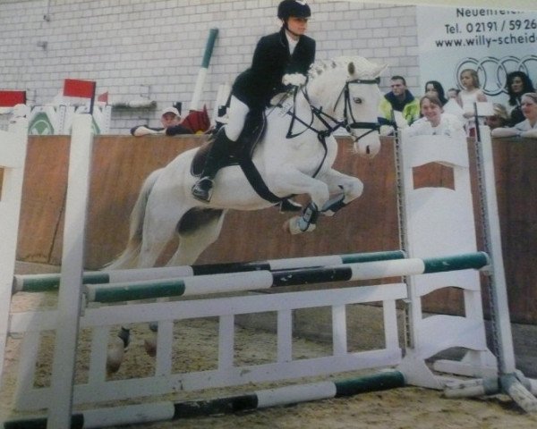 jumper To much Tequila (German Riding Pony,  , from Top Non Stop)