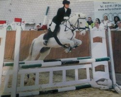jumper To much Tequila (German Riding Pony,  , from Top Non Stop)