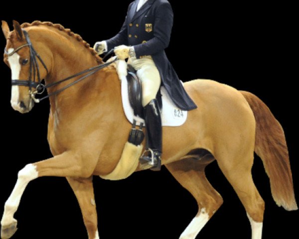 horse Amüsant (Hanoverian, 1995, from Alabaster)