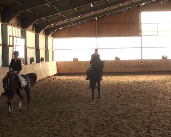 Video of Magic Boy 24