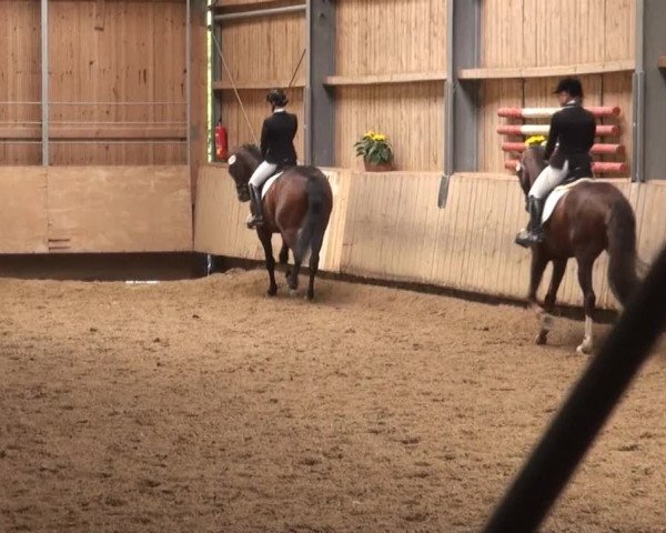 Video of Quinton 8