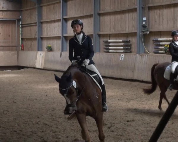Video von Fräulein Meyer