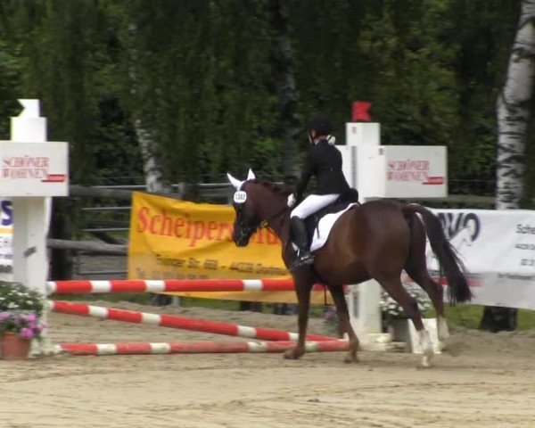 RV Schwerte 2013 30.06.2013 04 Springreiter WB