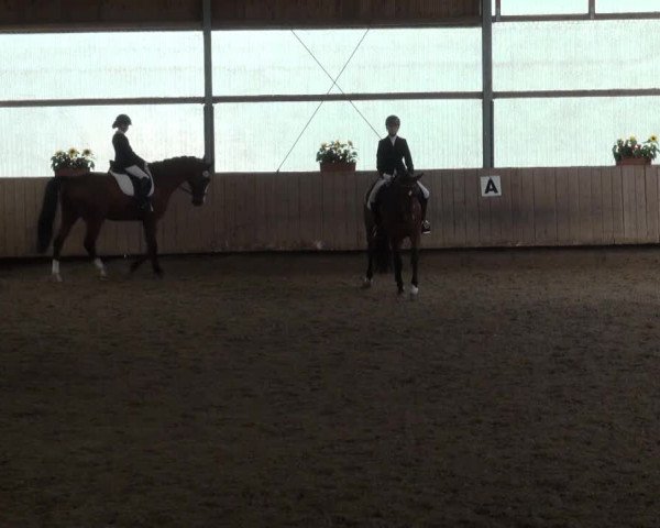 Video of Earl of Jo