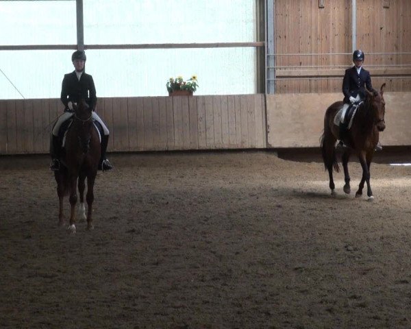 RV Schwerte 2013 29.06.2013 13.2 Dressurreiterprüfung  Kl. A