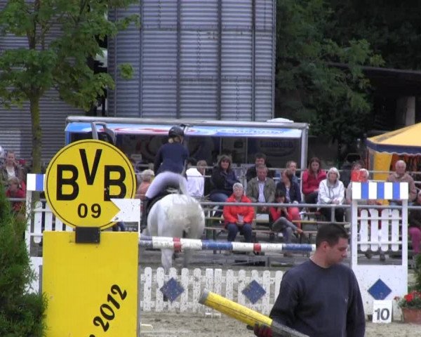 RV Schwerte 2013 30.06.2013 28 Springprüfung Kl. M**