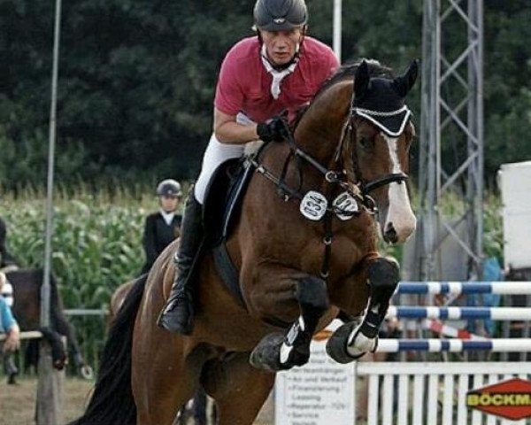 jumper Antonius 64 (Westphalian, 2008, from Avec Coeur 6)