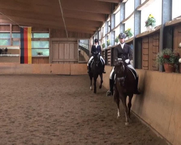 Video of Diamond Light