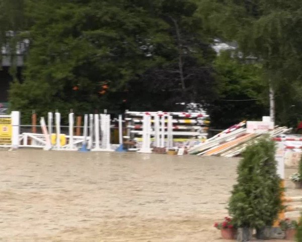 RV Schwerte 2013 29.06.2013 07 Stil-Springwettbewerb