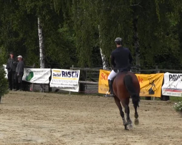 RV Schwerte 2013 29.06.2013 26.2 Springprüfung Kl. M*