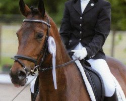 dressage horse Cocky Rookie (German Riding Pony, 2002, from FS Cocky Dundee)