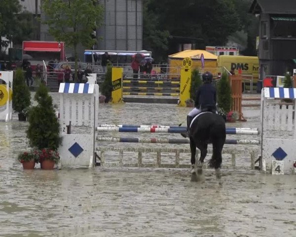 RV Schwerte 2013 28.06.2013 22.1 Stil-Springprfg. Kl. A*/geschl. LP