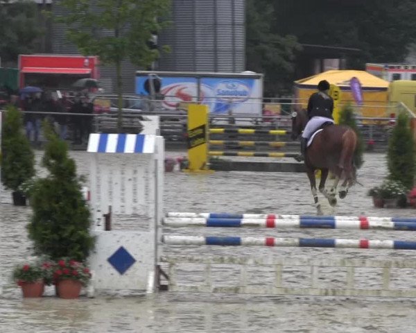 RV Schwerte 2013 28.06.2013 22.2 Stil-Springprfg. Kl. A*/geschl. LP