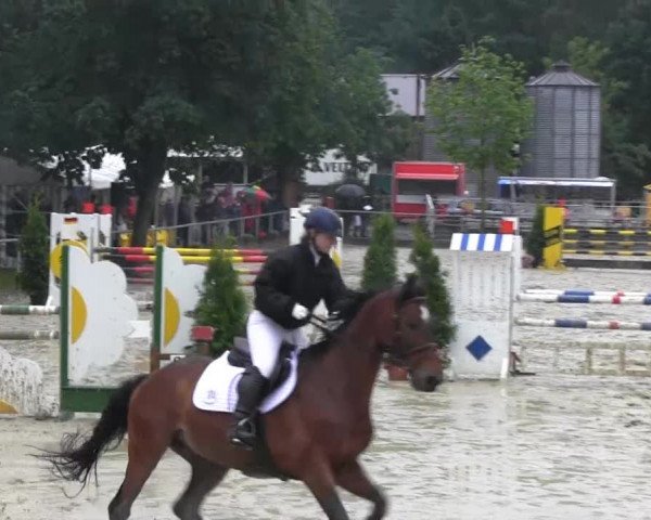 RV Schwerte 2013 28.06.2013 24 Zwei-Phasen-Springprfg.Kl. L