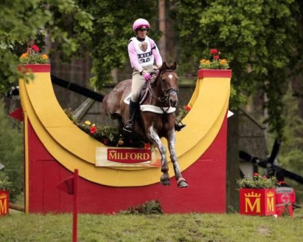horse Headly Britannia (British Sport Horse, 1993, from Jumbo)