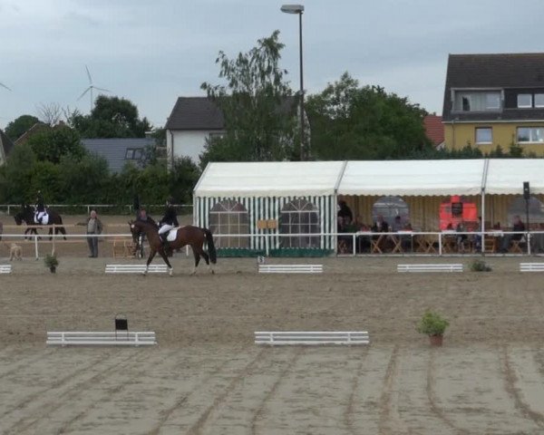 Video von Fernando 697, Rastella Ragazzina