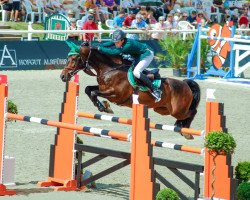 jumper Harvey VII CH (Swiss Warmblood, 2003, from Heartbreaker)