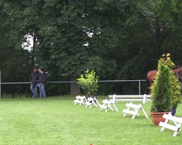 Stuten-und Fohlenschau Delbrück
Freitag, den 28.06.2013