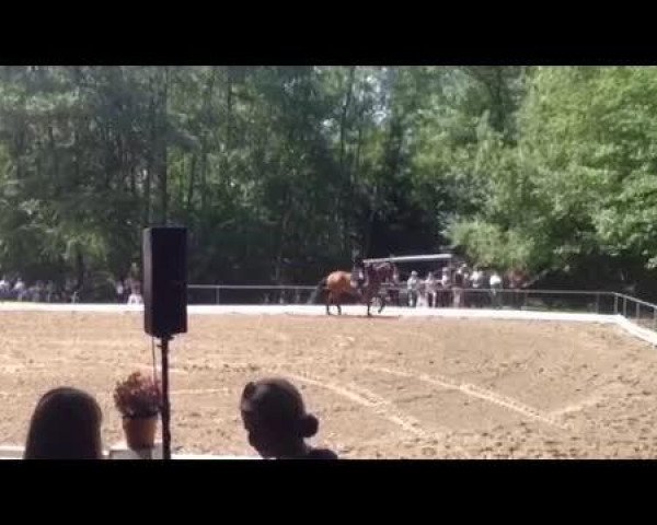Video of Whenever 18