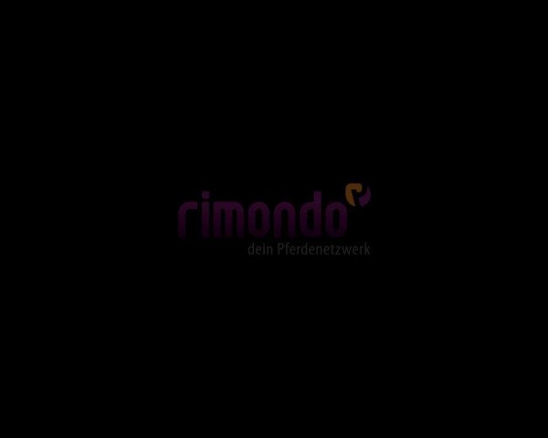Video of Windy