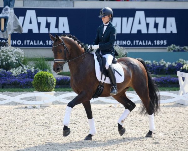 horse Selecao 3 (Rhinelander, 2014, from Stanford 9)