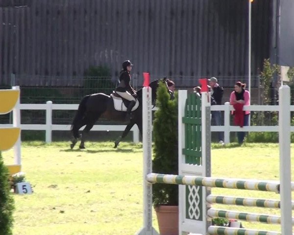 Reitturnier Düren 2013