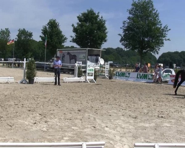 Stutenschau Albachten
Dienstag, den 18.06.2013