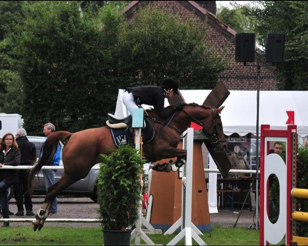 broodmare Finale 171 (Rhinelander, 2005, from Fidermark)