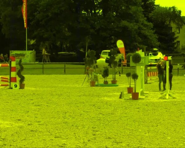 Remmighausen 16.06.2013
22_2 Springprüfung Kl. M**   
