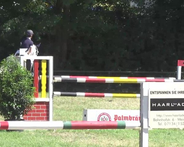 PLS Weinsberg 2013, Sonntag 15.06.2013, 15  Springprüfung  Kl. M** mit Stechen