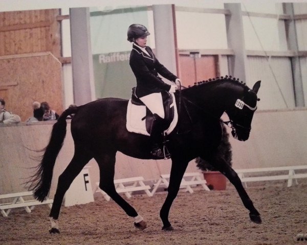 Springpferd Osepmoh (Trakehner, 2002, von Bug 9)