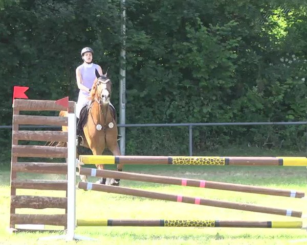 PLS Weinsberg 2013, Sonntag 15.06.2013, 09/2 Zwei-Phasen-Springprüfung  Kl. L