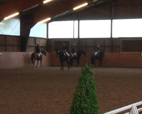 Video di Bolero 293, Da Vincy 4, Cassiopeia J