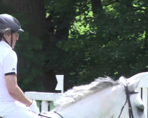 PLS Weinsberg 2013, Samstag 15.06.2013, 10/2 Punktespringprüfung Kl. L