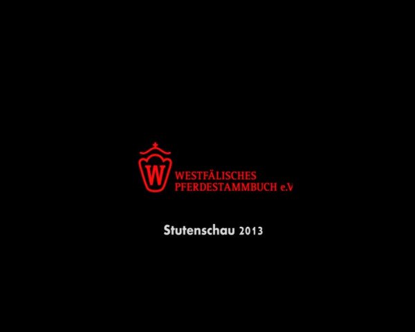 Stutenschau Steinheim 2013
Mittwoch, den 12.06.2013
