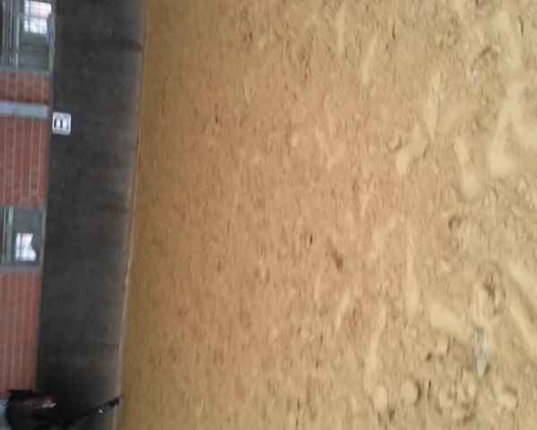 Video of Camira